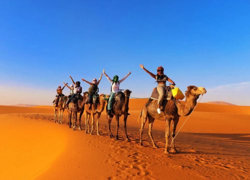 Sunset Camel Trek